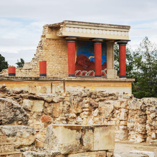  Bull and olive tree fresco at the Northern Gate, Knossos, Crete-GR