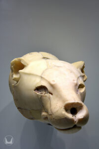 Stone Lioness Head Rhyton