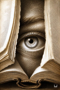 The Novelist's Eye